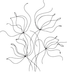 Obraz premium Elegant black floral line art on white background