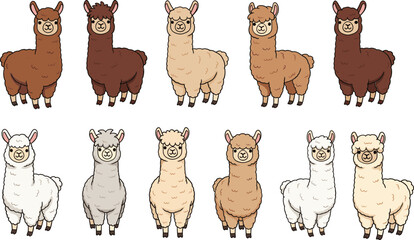 Obraz premium Cute cartoon alpaca and llama character set with standing poses, adorable animal vector illustration