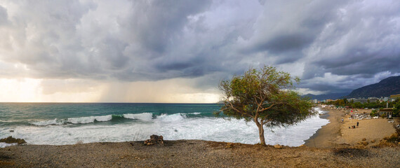 Fototapete bei efototapeten.de bestellen   