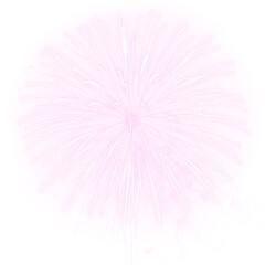 Spectacular fireworks display with sparks, star streaks and glistering light. Luxury decoration, festive dust, magic overlay and sparkling abstract textures.