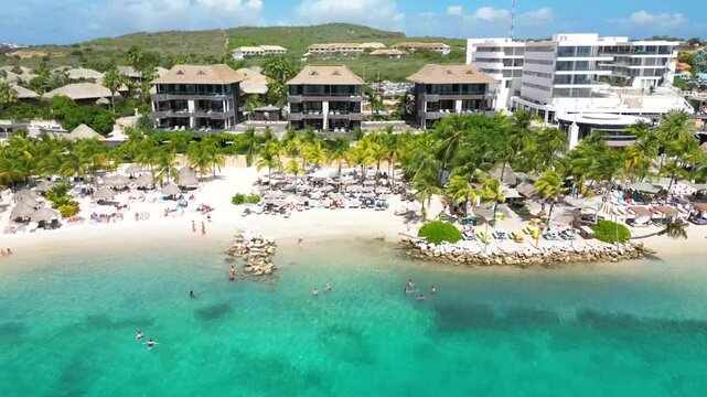 Palm trees on Mambo Beach, Cura&ccedil;ao tropical Caribbean beach scenery in 4K