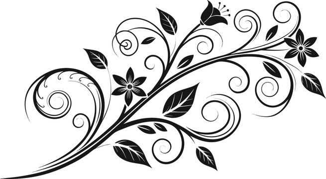 Ornamental design elements - a collection of ornate black and white floral vector elements. Each design should feature intricate swirls, curls, and botanical motifs such as leaves, vines, petals.