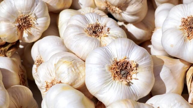 A pile of fresh white garlic bulbs at a market