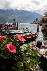 Blossom hibiscus flower on the background of lake Garda, the bay in Limone sul Garda town
