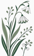 Fototapeta premium Elegant Floral Illustration Delicate White Flowers and Green Foliage.