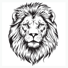 Fototapeta premium lion head vector