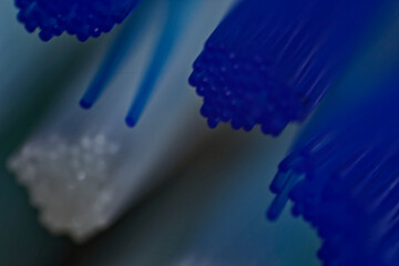 Electric Toothbrush Replacement Head Macro