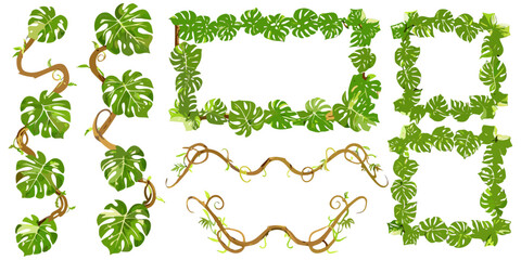 Illustrated jungle plant frames with monstera leaves, ivy, and twisted branches, playful cartoon style, clean vector design