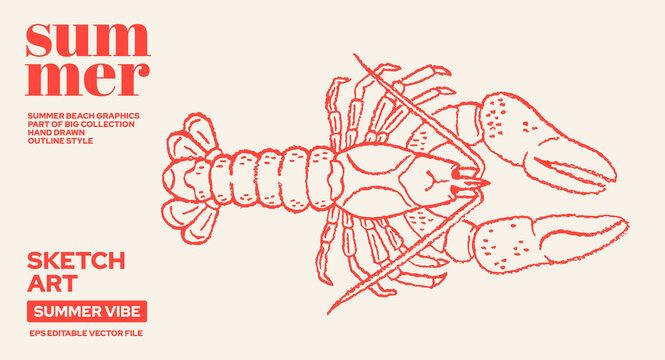 Lobster illustration. Sea crab drawing, line sketch vector. Lobster fish icon, marine graphic. Hand drawn seafood, doodle crawfish. Hand drawn sea food illustration. Outline red crayfish whimsical art