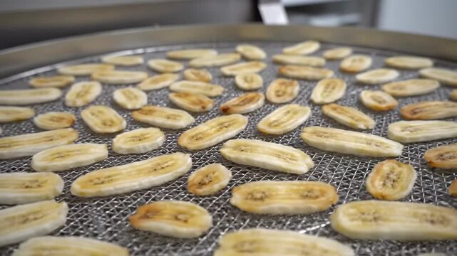 Sliced bananas drying on a mesh tray in a commercial kitchen, undergoing dehydration process in the background