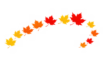 Autumn maple leaves creating a decorative arc, falling seasonal foliage on transparent background