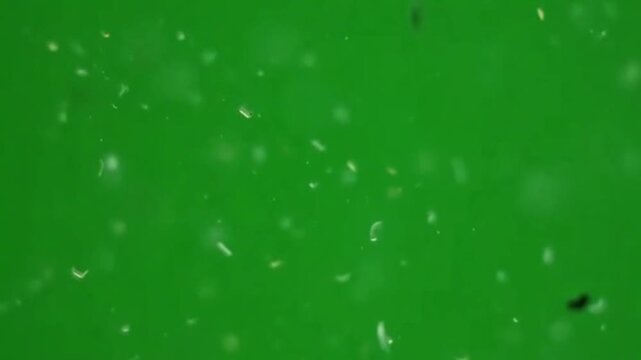 Microscopic view of motile microorganisms in green fluid