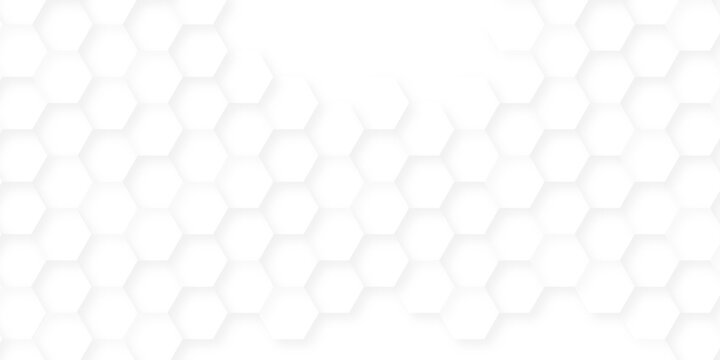 Minimal white hexagonal hexagon digital technology creative emboss light honeycomb polygonal web. abstract geometric science and mosaic tile with template texture background.