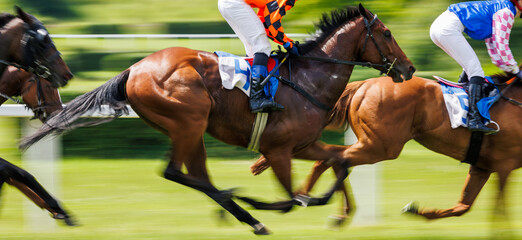 Horse racing. Panoramic view of running thoroughbred racehorse with unrecognizable jockey in motion. Blured panning shot