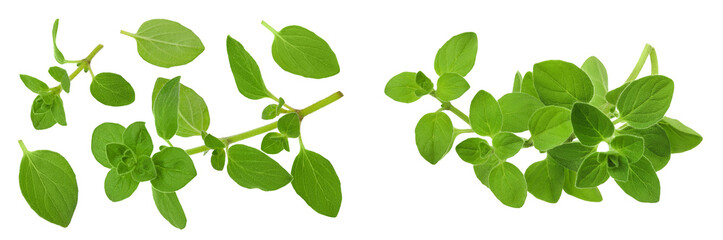Oregano or marjoram leaves isolated on white background. Top view. Flat lay