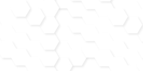 Fototapeta premium Minimal white hexagonal hexagon modern technology creative emboss light honeycomb polygonal web. abstract geometric science and mosaic tile with template texture background.