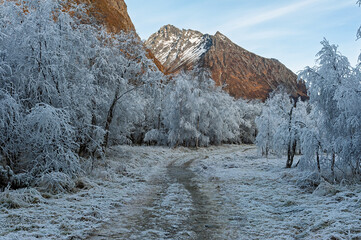 A tranquil scene unfolds as a frozen path meanders through white, frosted trees under a clear blue sky. The mountains stand tall, hinting at the beauty of early morning.