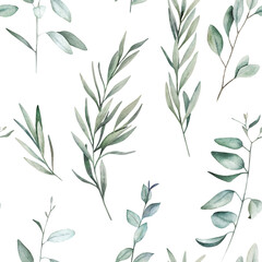 Watercolor seamless pattern with eucalyptus branches . Hand drawn illustration on white background