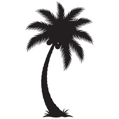 Black Silhouette of a Tropical Coconut Palm Tree with Coconuts