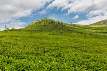 Obraz premium Panoramic view of a beautiful green vast mountain valley