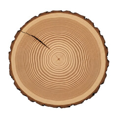 Fototapeta premium Wooden tree slice isolated on transparent background