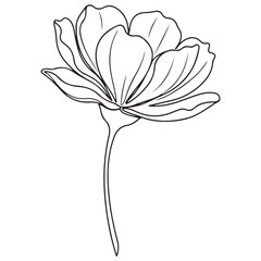 Minimalist Line Art Flower Drawing with Stem on a White Background