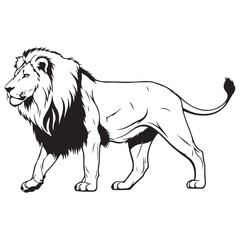 Powerful Male Lion Vector Illustration Walking in Profile