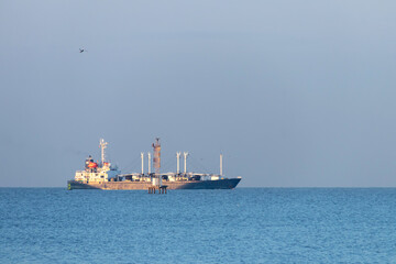 Fototapeta premium Cargo ship on calm sea at sunrise with soft blue sky and lone bird flying