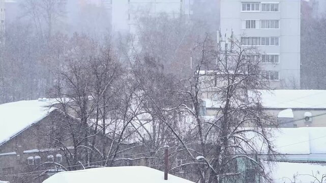 Snowfall in winter day after hurricane frances in Moscow, Russia