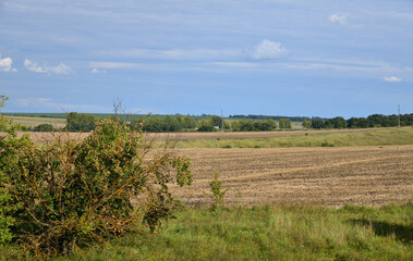 Golden fields after harvesting in the vast expanses of Russia