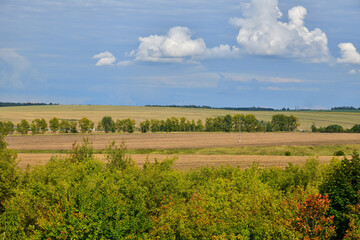 Golden fields after harvesting in the vast expanses of Russia