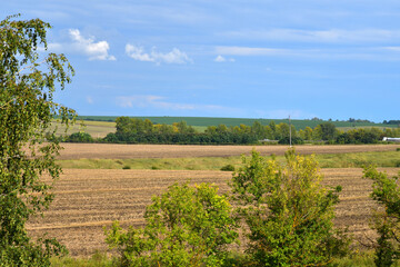 Golden fields after harvesting in the vast expanses of Russia. Focus on the foreground