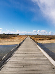 青空と未来へ続く京都・流れ橋の絶景