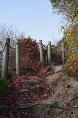 羽束山の登山道