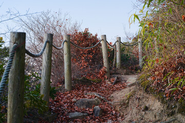 羽束山の登山道