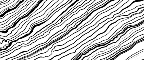 Vector abstract wood skin texture white background 