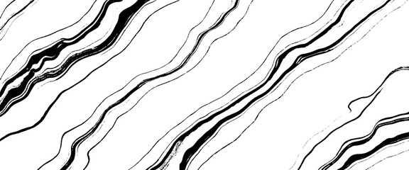 Vector abstract wood skin texture white background 