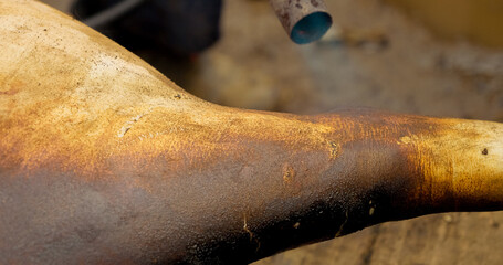 Skilled butcher removing hair from pig leg by carefully burning skin surface using precise blowtorch technique in traditional meat processing method