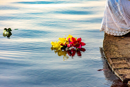 Flowers being placed in the water as an offering during a festival honoring Iemanj&aacute;, one of the entities of Umbanda.