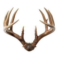 Deer antlers isolated on transparent background