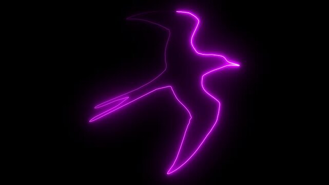 Self drawing animation one continuous line draw, logo, flying bird, swallow , neon purple luminous sign. animation, abstract, animal, animated