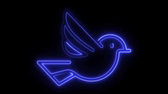 Blue neon bird silhouette on black background light 4k video. bird, black, blue, botanical, 