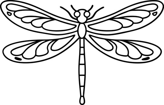 dragonfly outline illustration with detailed wings and segmented body, insect line art drawing