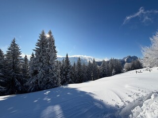Chiemgau alps at Unterberg Alm, Ruhpolding covered in fresh powder snow