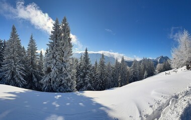 Chiemgau alps at Unterberg Alm, Ruhpolding covered in fresh powder snow
