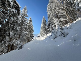 Chiemgau alps at Unterberg Alm, Ruhpolding covered in fresh powder snow