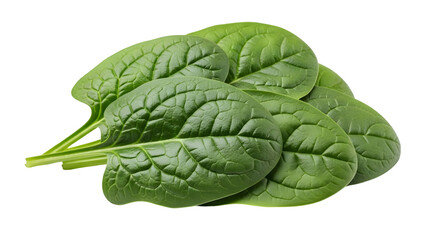 Fresh spinach leaves isolated on transparent background
