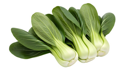 Fresh green bok choy bunch isolated on transparent background
