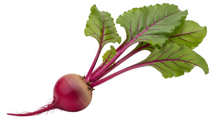 Fresh beetroot with green leaves isolated on transparent background