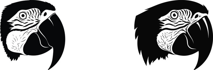 Obraz premium black bird silhouette on white background